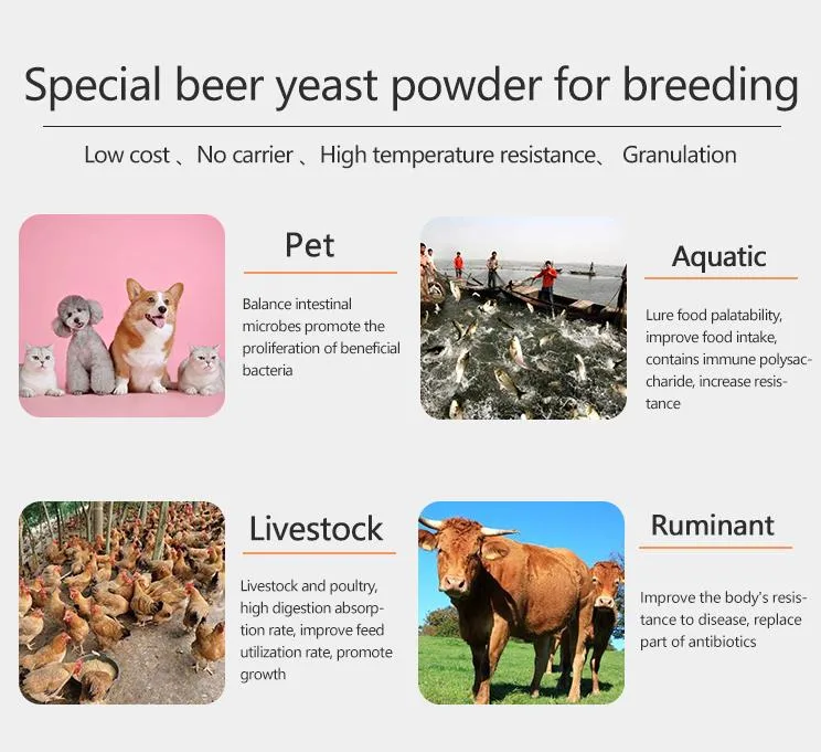 Inactive Spray Dried Beer Yeast Powder for Animal Feed Additive